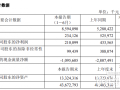 三一重能2025半年報(bào)：營(yíng)收86億元，風(fēng)機(jī)銷(xiāo)售4.72GW！